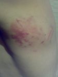 30072010208.jpg