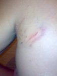 30072010211.jpg