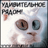 Василий