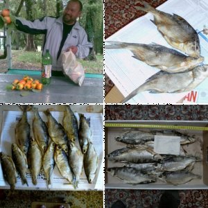 Астраханская рыночная рыба (с ценами)