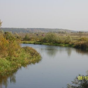 село Кривец