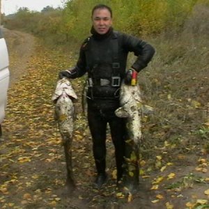 Осенняя охота на реке Илек сомики 14.5кг и 19.8кг длина 1м20см. и 1м37см. Примерно 40-я охота по счету.