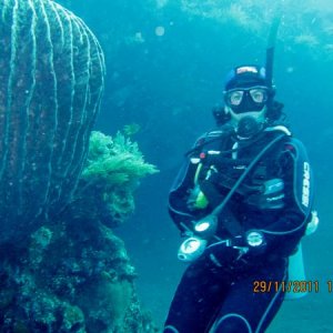 Марина возле трубчатого коралла