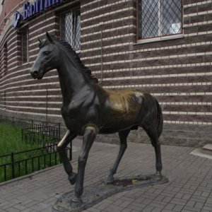 Конь
