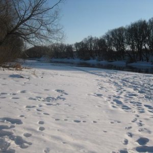 Река зуша март2010