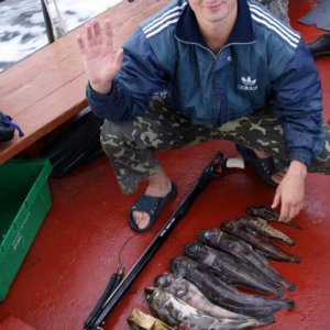 Охота на Белом море