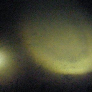 слева шалфей, справа тестируемый фонарь линзованный