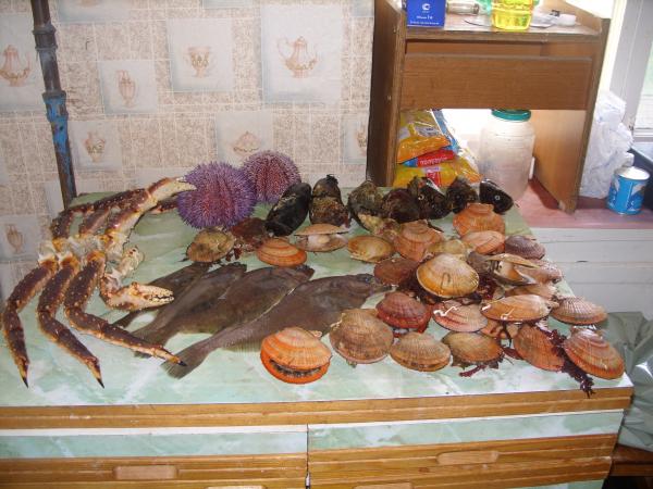 Часть улова морепродуктов - Баренцево море