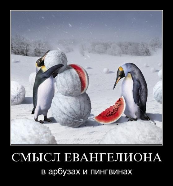 Пингвины в Астрахани