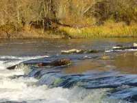водопад.webp