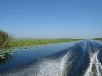 на водной трассе.webp
