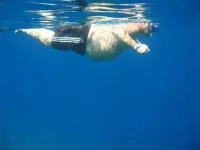 Он2.webp