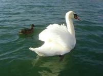 DSC07502kkk.webp