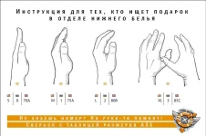 выбираем подарок.webp