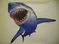 14001_large.webp