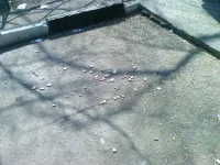 DSC01167.webp