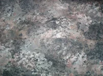 shark_skin_12.webp