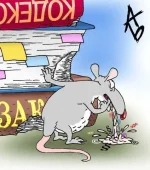 4.webp