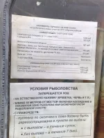 958a951d3b8f.webp
