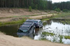 кур2.webp
