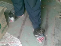 02062008.webp