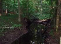 2009-07-27_0010.webp