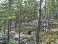 Копия IMGP2373.webp