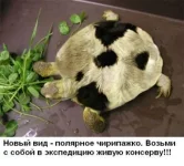 post-13-1194451177.webp