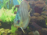 Photo-0005.webp