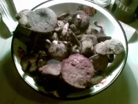 27082009.webp