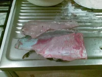 23082009(001).webp