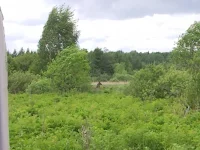 SNC00119.webp