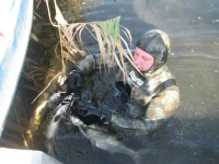 IMG_2119.webp