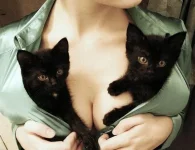 сиськи.webp