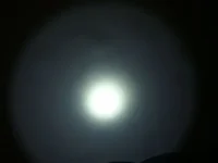DSC01826.webp