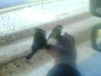 PIC101129120422.webp
