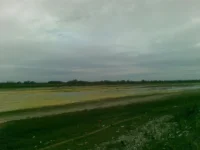 03122010(002).webp
