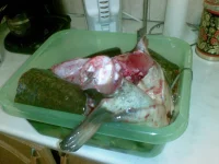05122010(001).webp