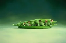 x_14d568ac.webp
