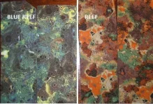 sheico camo.webp