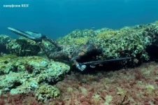 Camo Reef 3 - Copy.webp