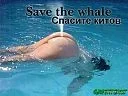 getImage.webp