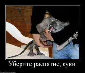 920586_uberite-raspyatie-suki.webp