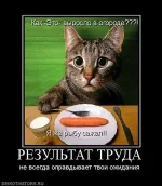22018_rezultat-truda.thumbnail.webp