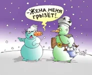 снеговиг.webp