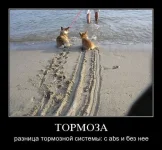 up58892-565778-1290693203.webp