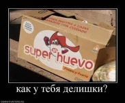 dd3f27d0e2ae.webp