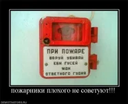 5af9d1e17fe2.webp