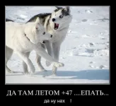 demotivatori052.webp