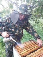 7kRzHYR39oU.webp